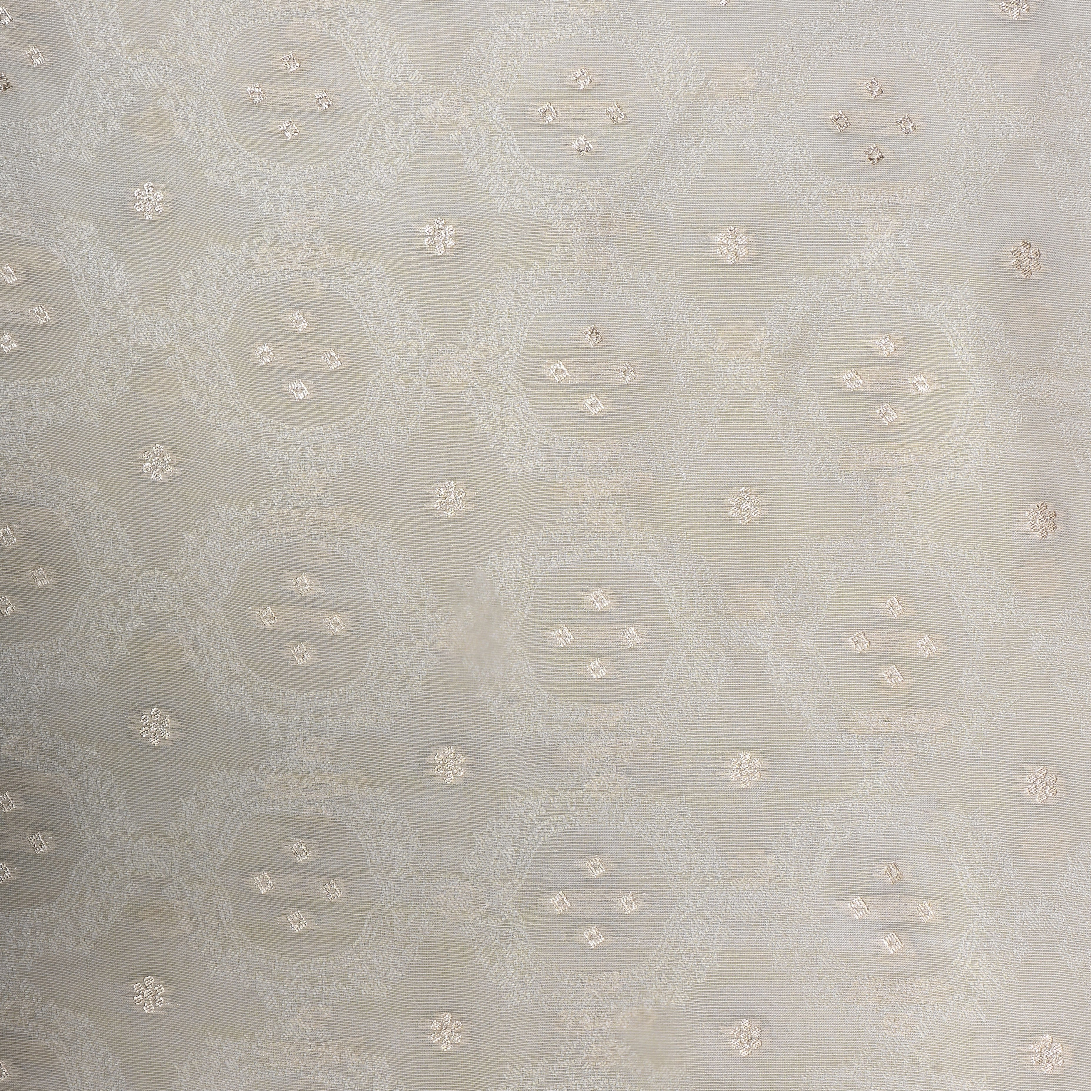 Dull White Zari Embroidered Tissue Fabric