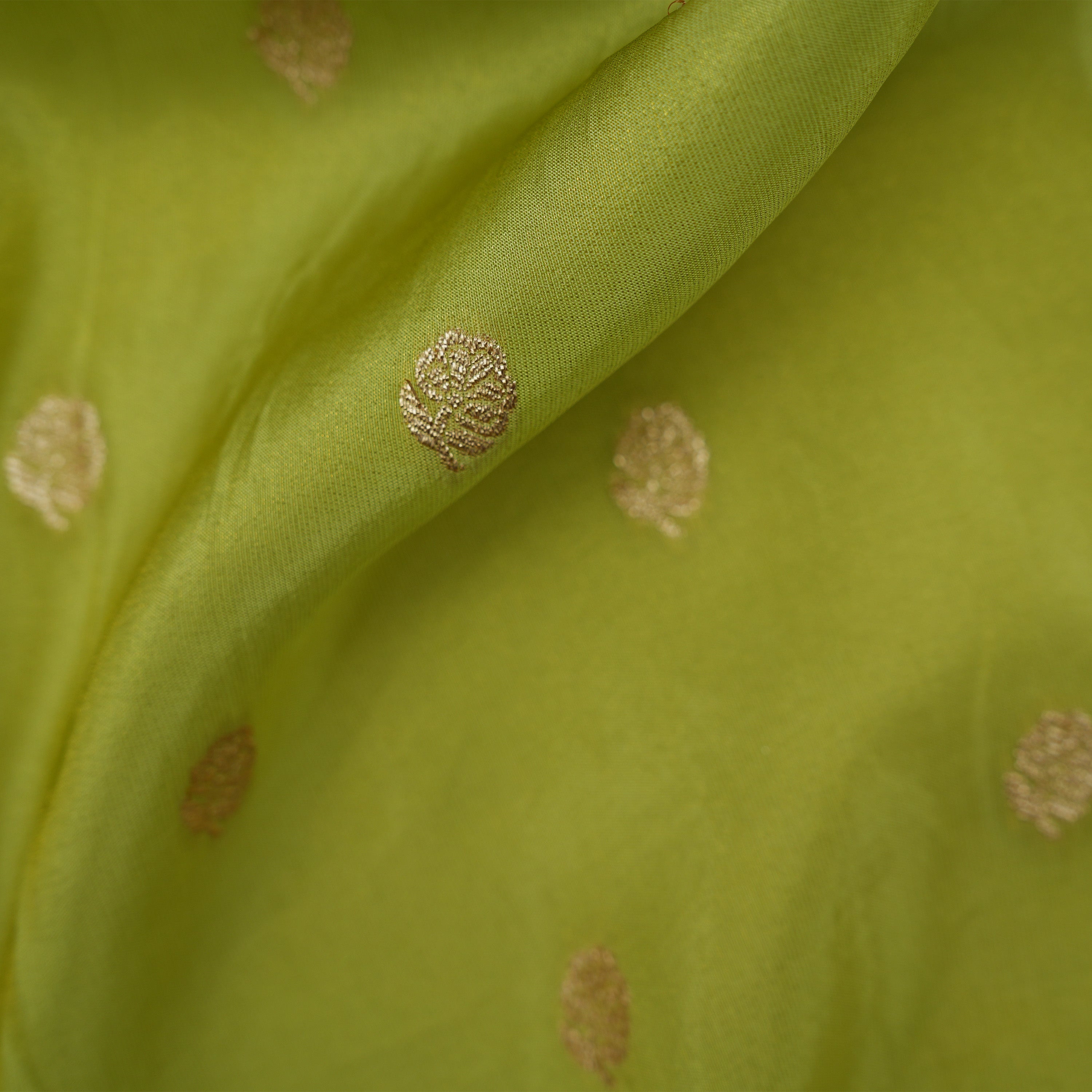 Wasabi Green Floral Buttis With Floral Jaal Border Tissue Fabric