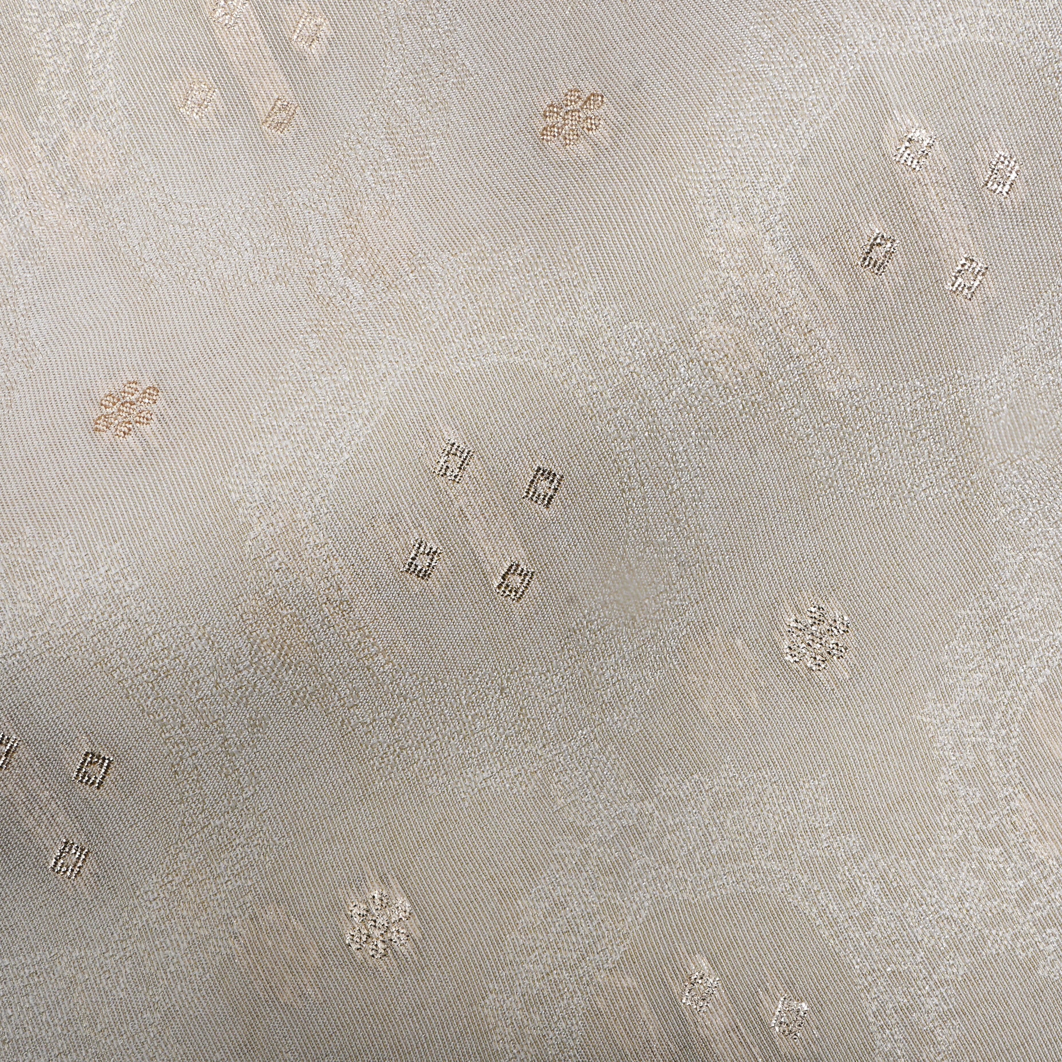 Dull White Zari Embroidered Tissue Fabric