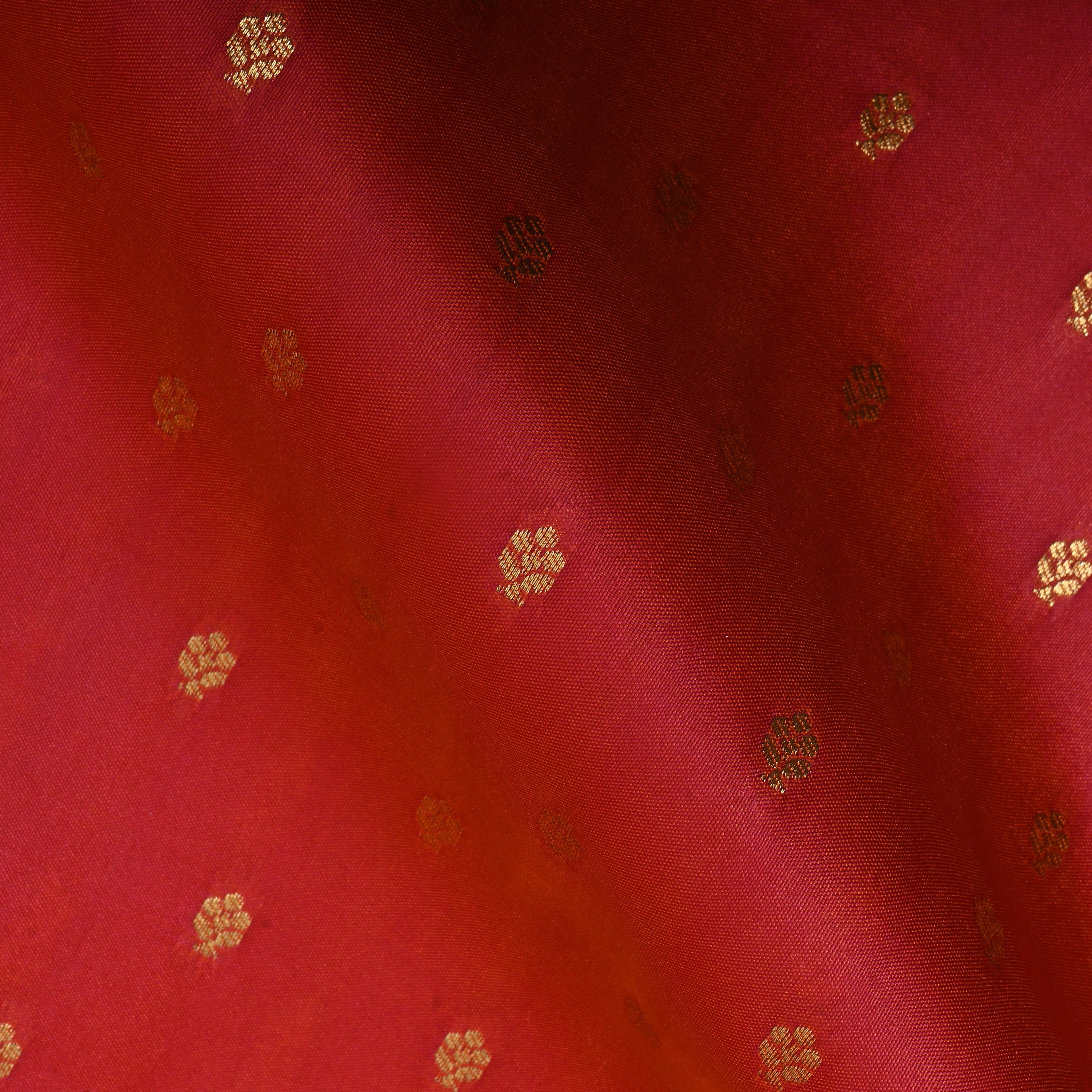 Bright Red With Golden Zari Buttis On Jamawar Silk Fabric